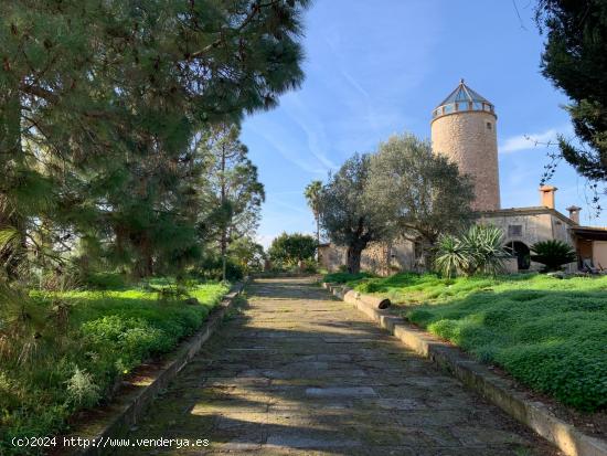 CASA SEÑORIALSIN IGUAL EN SANTA MARGARITA - BALEARES