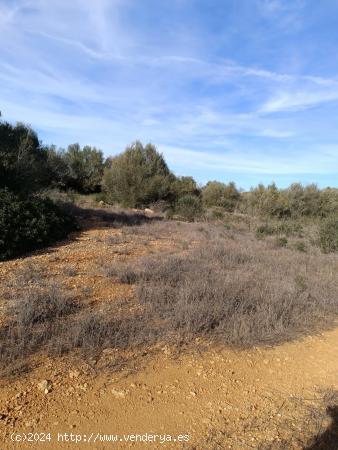  Terreno Urbanizable en Campos, Mallorca: ¡Construye tu Hogar de Ensueño! - BALEARES 