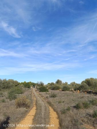 Terreno Urbanizable en Campos, Mallorca: ¡Construye tu Hogar de Ensueño! - BALEARES