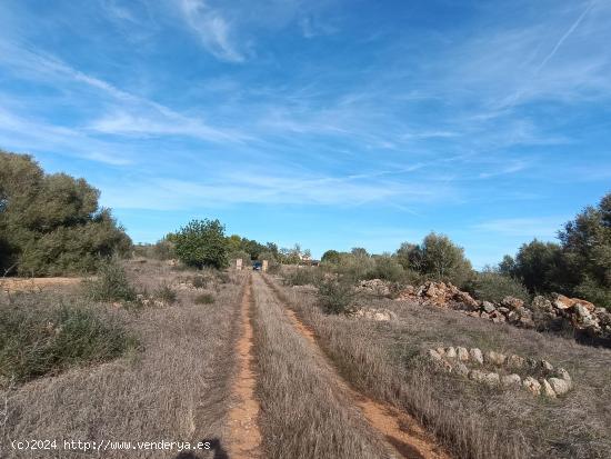 Terreno Urbanizable en Campos, Mallorca: ¡Construye tu Hogar de Ensueño! - BALEARES