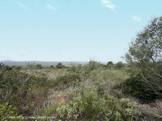 SOLAR CON VISTAS PANORAMICAS PARA CONSTRUIR EN PUNTIRÓ - BALEARES