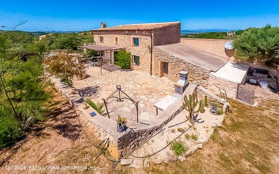 FINCA RUSTICA EN TERMINO DE SON MACIA, MANACOR - BALEARES