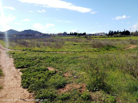 CP1203C Parcela Rural con facil acceso a Manacor - BALEARES