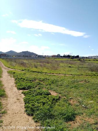 CP1203C Parcela Rural con facil acceso a Manacor - BALEARES