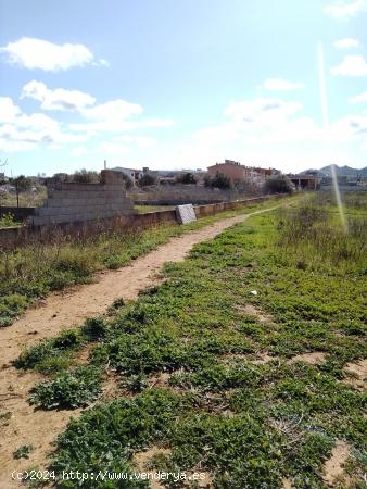 CP1203C Parcela Rural con facil acceso a Manacor - BALEARES