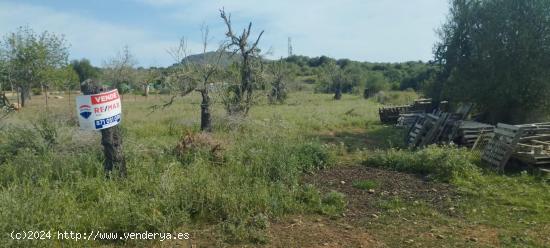  REF/CP1219  Terreno No Edificable en Sant Llorenç - BALEARES 