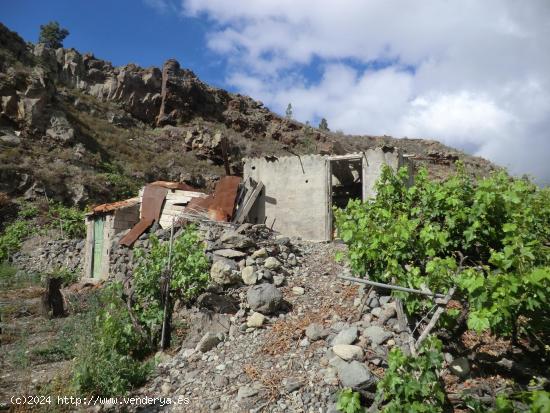 Terreno Rustico en Guía de Isora - SANTA CRUZ DE TENERIFE