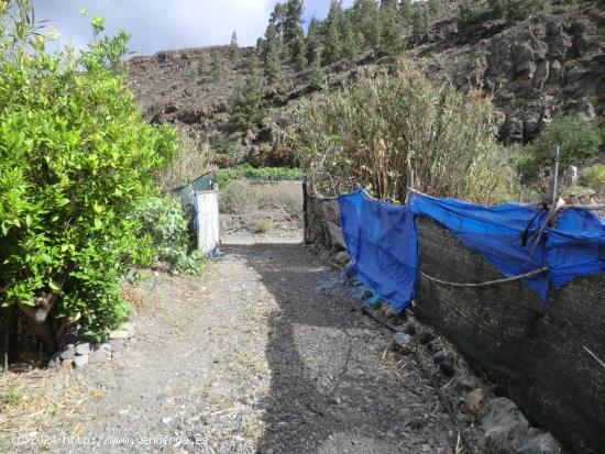 Terreno Rustico en Guía de Isora - SANTA CRUZ DE TENERIFE