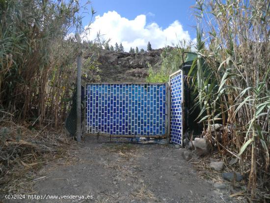 Terreno Rustico en Guía de Isora - SANTA CRUZ DE TENERIFE