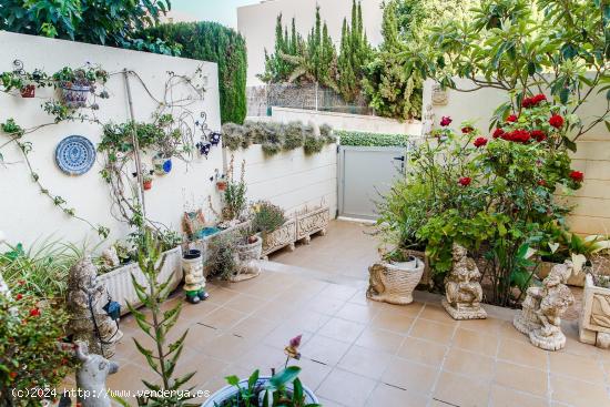 Hermosa planta baja con terraza, piscinas y a un paso de la playa - BALEARES