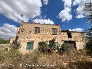 Se vende Finca Rústica en S'illot Manacor - BALEARES