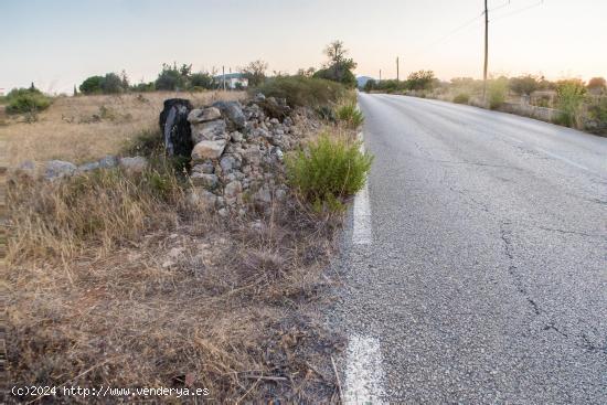 Terreno rústico con licencia de obra y con vistas amplias y panorámicas - BALEARES