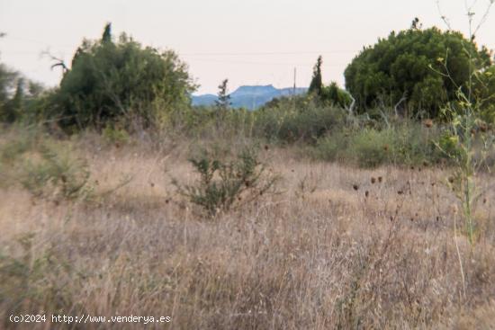 Terreno rústico con licencia de obra y con vistas amplias y panorámicas - BALEARES