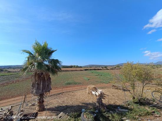 Finca Rustica con cedula de habitabilidad en tramite - BALEARES