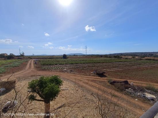 Finca Rustica con cedula de habitabilidad en tramite - BALEARES