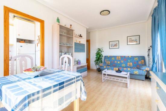 Se alquila acogedor apartamento en la zona de Aguas Nuevas 2, Torrevieja - ALICANTE