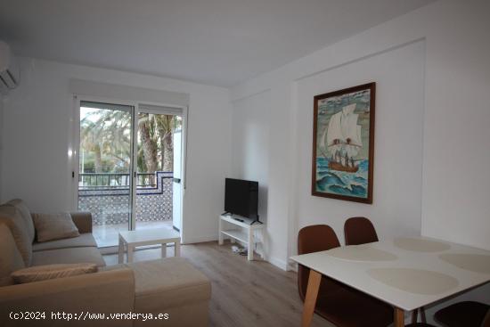 Se alquila apartamento en Torrevieja - ALICANTE