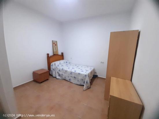 VIVIENDA DE ALQUILER EN EL CENTRO. - CADIZ