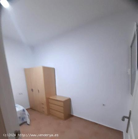 VIVIENDA DE ALQUILER EN EL CENTRO. - CADIZ