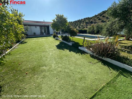  🌿🏡 Finca Excepcional en Venta - Olivos [amp ] Más en Morón de la Frontera 🌳 - SEVILLA 