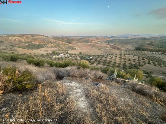 🌿🏡 Finca Excepcional en Venta - Olivos [amp ] Más en Morón de la Frontera 🌳 - SEVILLA