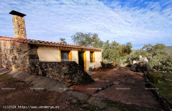 SE VENDE FINCA RÚSTICA EN VENTA EN JABUGO (HUELVA) ESPAÑA. - Jabugo