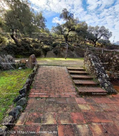 SE VENDE FINCA RÚSTICA EN VENTA EN JABUGO (HUELVA) ESPAÑA. - Jabugo