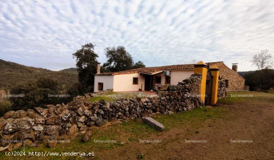 SE VENDE FINCA RÚSTICA EN VENTA EN JABUGO (HUELVA) ESPAÑA. - Jabugo