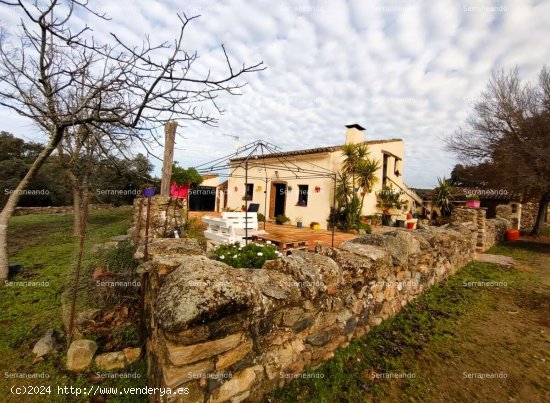 SE VENDE FINCA RÚSTICA EN VENTA EN JABUGO (HUELVA) ESPAÑA. - Jabugo