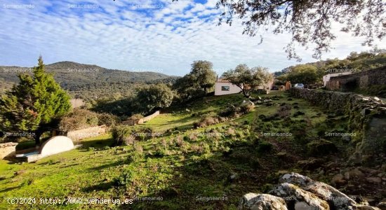 SE VENDE FINCA RÚSTICA EN VENTA EN JABUGO (HUELVA) ESPAÑA. - Jabugo