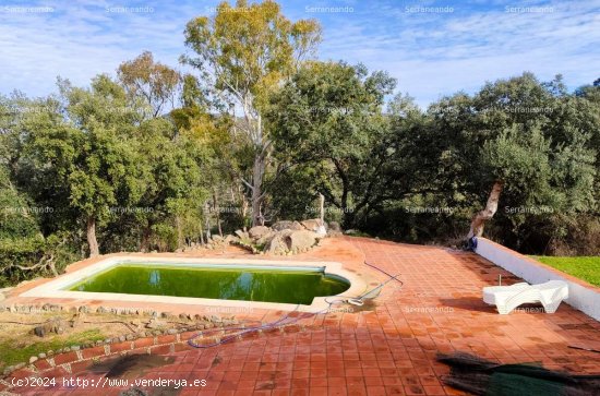 SE VENDE FINCA RÚSTICA EN VENTA EN JABUGO (HUELVA) ESPAÑA. - Jabugo