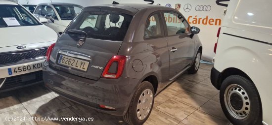 Fiat 500 1.0 hybrid CULT APPLE CARPLAY-BLUETOOTH- - Mataró