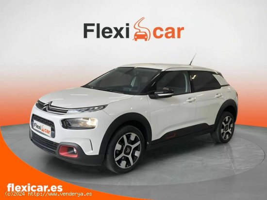 Citroën C4 Cactus BlueHDi 100 S&S Business - Puebla de Sancho Pérez