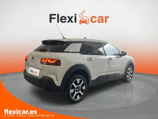 Citroën C4 Cactus BlueHDi 100 S&S Business - Puebla de Sancho Pérez