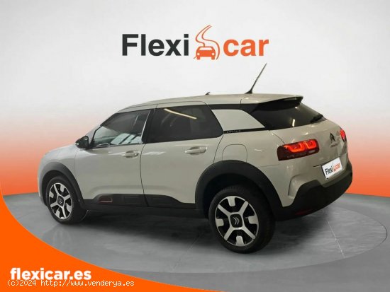 Citroën C4 Cactus BlueHDi 100 S&S Business - Puebla de Sancho Pérez