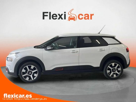 Citroën C4 Cactus BlueHDi 100 S&S Business - Puebla de Sancho Pérez