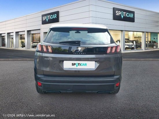 Peugeot 3008  1.5 BlueHDi 96kW (130CV) S&S Active Pack - JEREZ DE LA FRONTERA