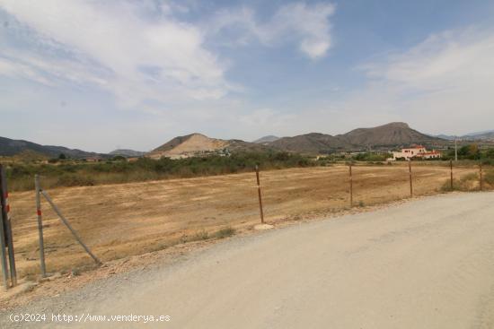 terreno en Aspe - ALICANTE