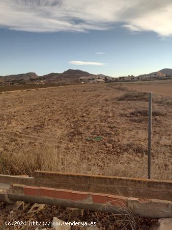 Terreno en Hondon de las Nieves - ALICANTE