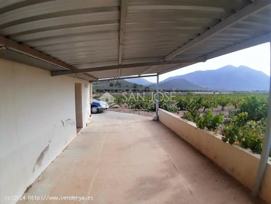 SE VENDE PARCELA EN PRODUCCION DE VIÑA MONASTRELL CON CASA, ALGUEÑA, ABANILLA, CASA VITIA - MURCIA