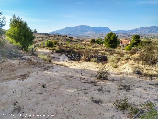 SE VENDE PARCELA EN ESPEJERAS MONFORTE DEL CID - ALICANTE