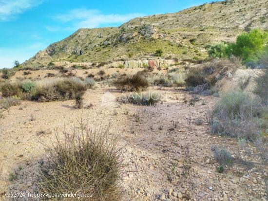 SE VENDE PARCELA EN ESPEJERAS MONFORTE DEL CID - ALICANTE