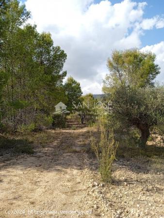 SE VENDE PARCELA TERRENO EN LA BOQUERA LA ROMANA - ALICANTE