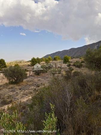 SE VENDE PARCELA TERRENO EN LA BOQUERA LA ROMANA - ALICANTE