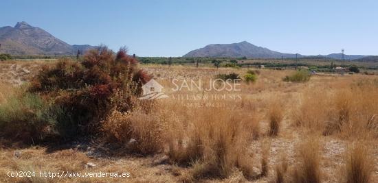 SE VENDE SOLAR EN AGOST  URBANIZABLE - ALICANTE