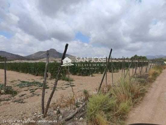 SE VENDE CASA CON PARCELA CON ALMACÉN EN CAMINO VIEJO DE HONDÓN - ALICANTE