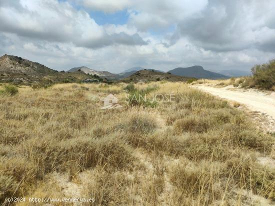 SE VENDE PARCELA GRANDE EN ASPE ZONA DE BORISA - ALICANTE