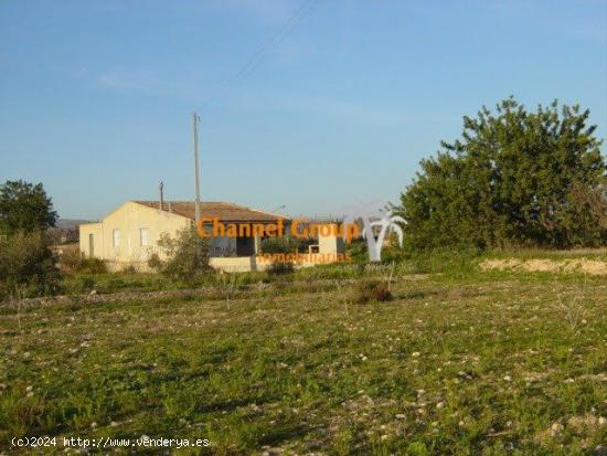 SE VENDE CAMPO CON CASA PARA REFORMAR A POCOS MINUTOS DE ELCHE - ALICANTE