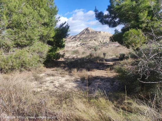 SE VENDE PARCELA DE 15.000MTR2 ZONA ASPE - ALICANTE