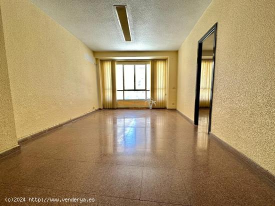  ENTRESUELO COMERCIAL  EN ALQUILER JUNTO AL AYUNTAMIENTO DE ELCHE!!! NO APTO VIVIENDA. - ALICANTE 